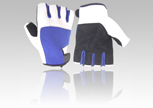 Weight Lifting Gloves